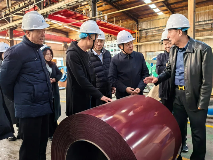 张龙带队赴外开展招CQ9电子商引资考察活动(图3)