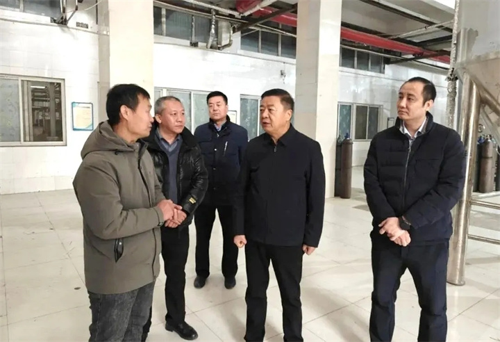 张龙带队赴外开展招CQ9电子商引资考察活动(图6)