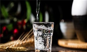 CQ9电子中国通信设备行业全景调研 通信设备制造商开始将事业重心转向国内(图6)