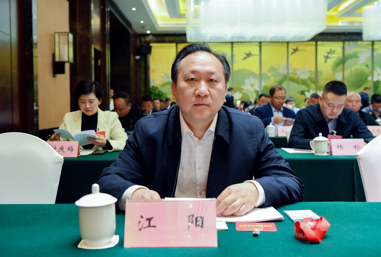 中CQ9电子国算力加速度！2025全国两会琼冀黔宁党报联动对话(图12)