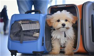 2024年中国通CQ9电子信设备行业现状分析及竞争格局(图4)