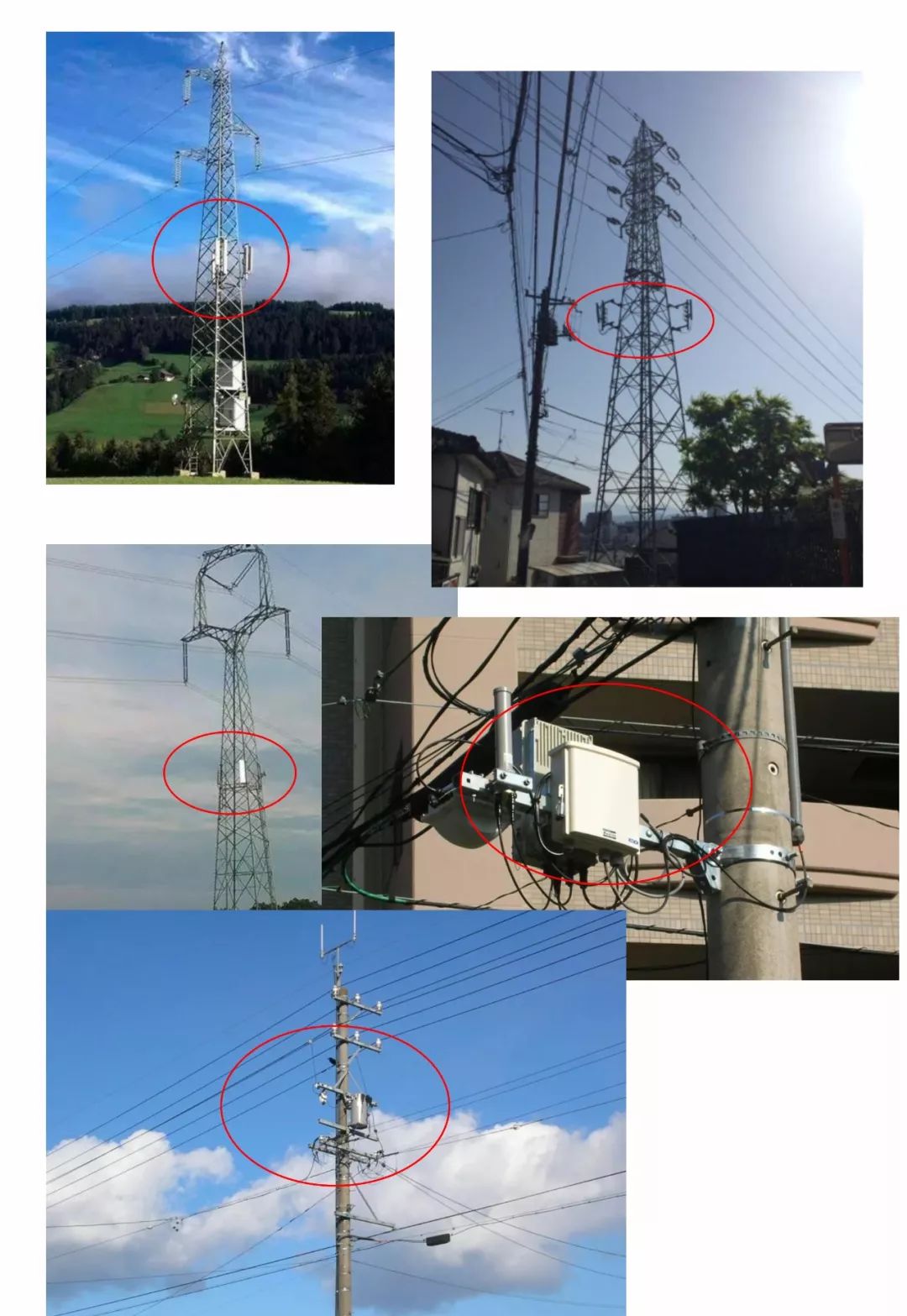 通信行业202CQ9电子4年及2025年Q1经营总结分析：运营商稳健发展AI产业高景气拉动光通信增长(图1)