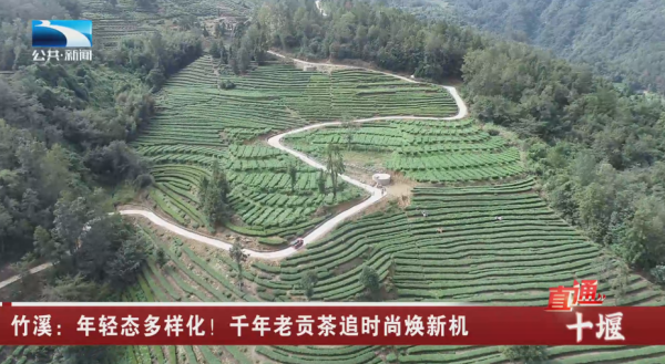 CQ9电子湖北卫视聚焦竹溪：口子县火出圈的流量密码(图3)