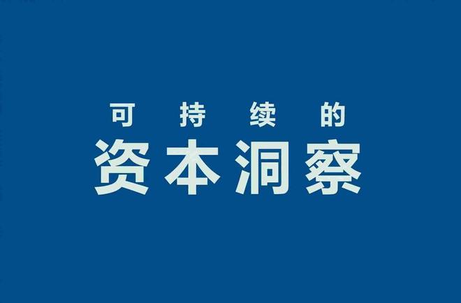 润泽科技（300442）：园区级IDC龙头的AI算CQ9电子力转型低PE下的价值重估博弈(图1)