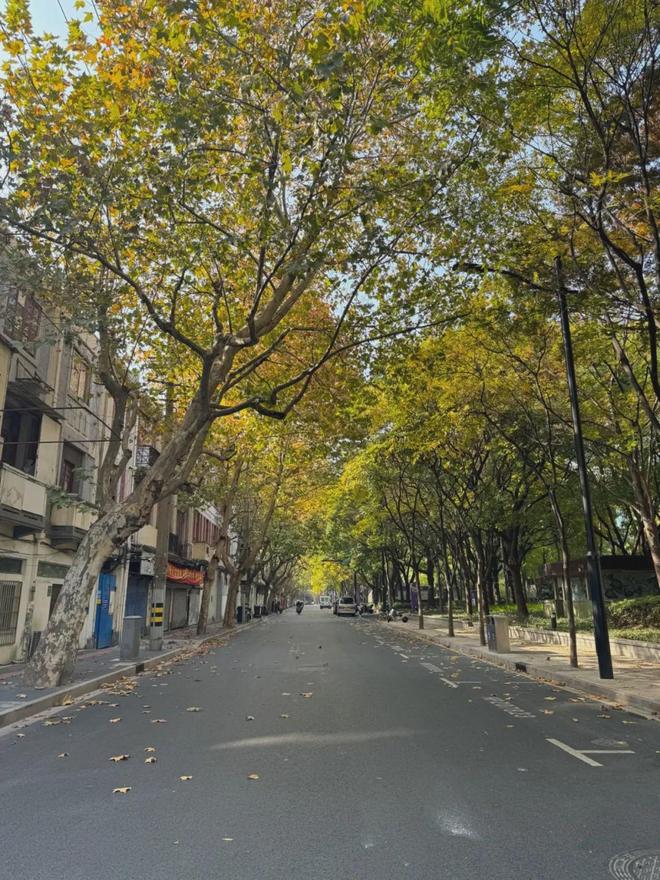 CQ9电子官方聚焦◇上海黄浦高福云境官方售楼处发布：项目地址@最新房价(图3)