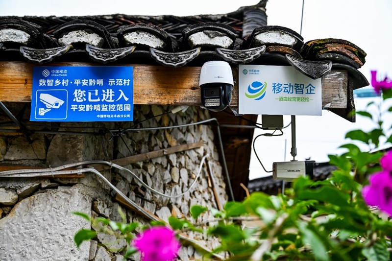 从花江峡谷大桥出发：探访“多彩贵州 移起向新”CQ9电子(图10)