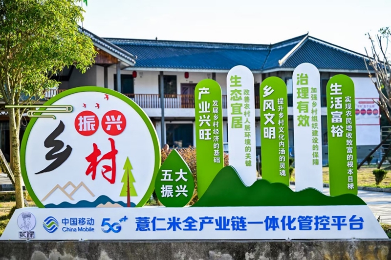 从花江峡谷大桥出发：探访“多彩贵州 移起向新”CQ9电子(图11)