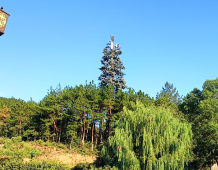 CQ9电子电普10年 山乡巨变：云端筑梦 天柱山的数字蝶变之路(图2)