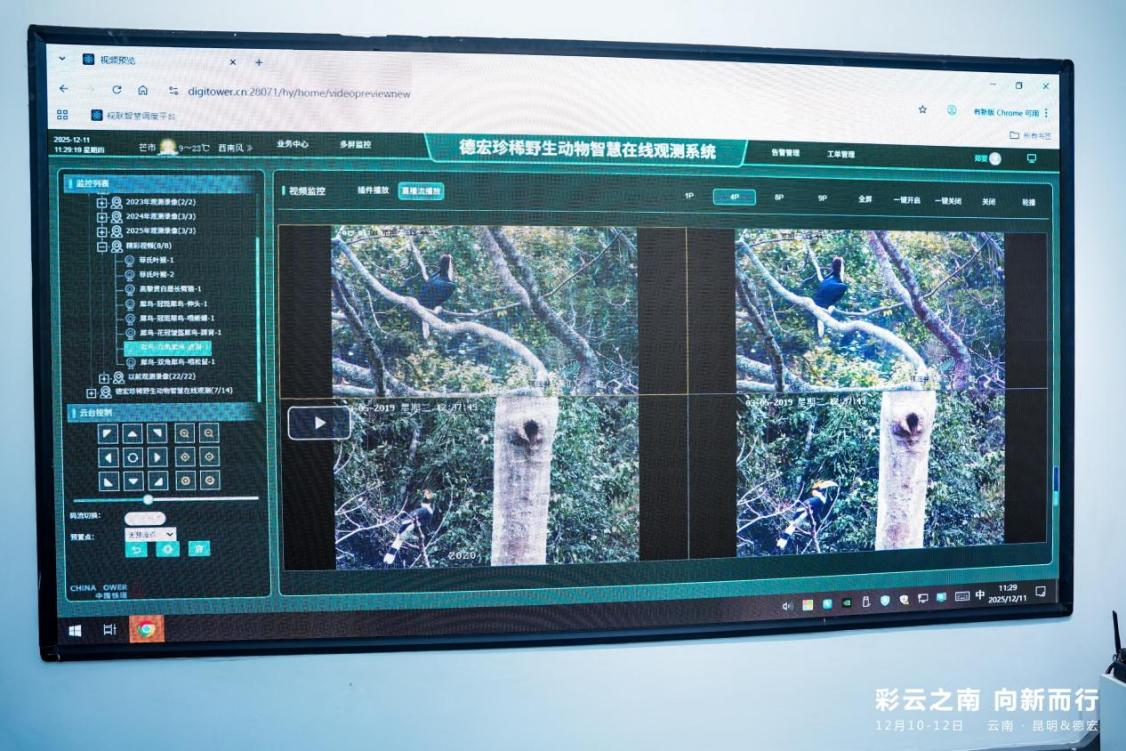 CQ9电子彩云之南 向新而行 数智技术绘就边疆发展新图景(图5)