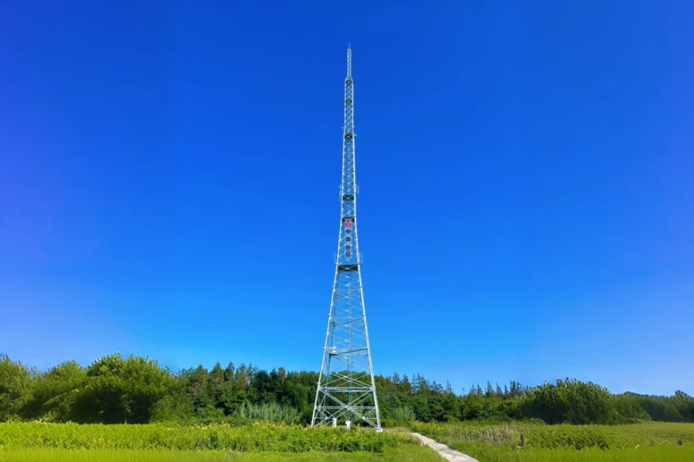 科技赋能守良田 上海CQ9电子铁塔通信塔变身“耕地守护眼(图2)