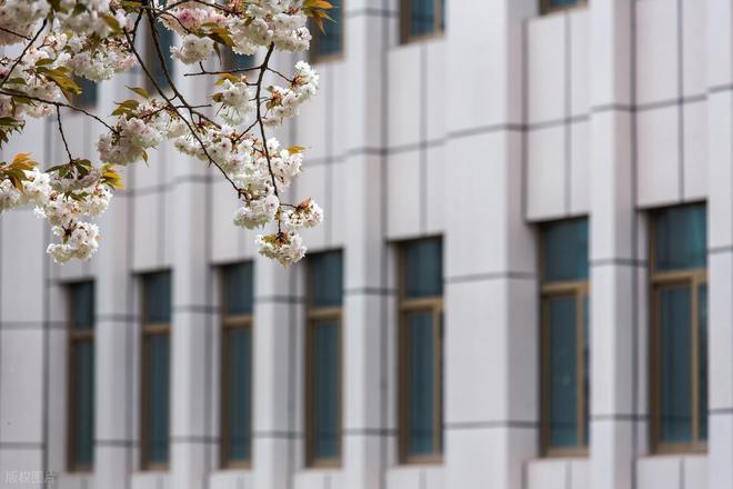 CQ9电子人工智能专业排名：西安电子科技大学成黑马前12名大学都有哪些(图8)