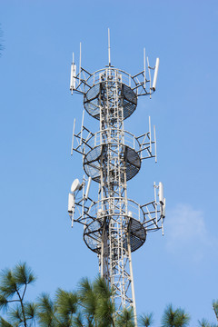 初灵信息(3002CQ9电子50)(图1)