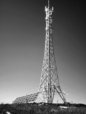 陈洪生贪CQ9电子腐林场案曝光(图1)