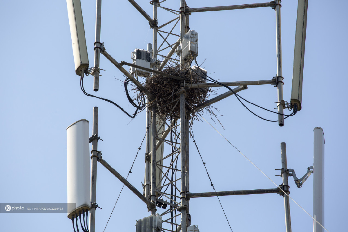 2026年中国通信设备行业深度CQ9电子观察：从规模引领迈向技术引领的新征程(图1)