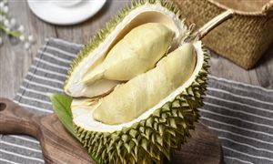 光通信设备包括哪些？光通信设备行业现状及发展前景CQ9电子(图4)