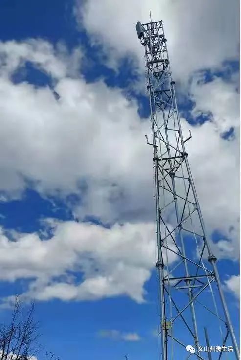 202CQ9电子4-2029全球及中國微蜂窩基站建設行業研究及十四五規劃分析報告(图1)