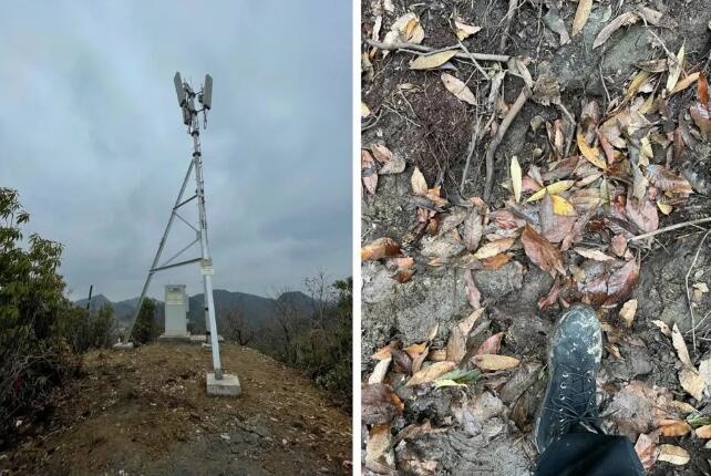 CQ9电子哔哥哔特商务网(图1)